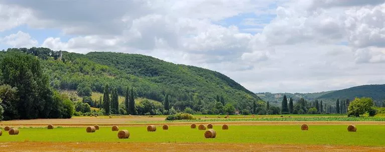 Sedi Lezioni Facili Molise